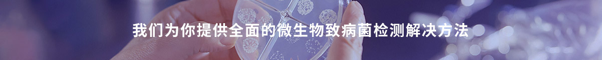 辰安智检