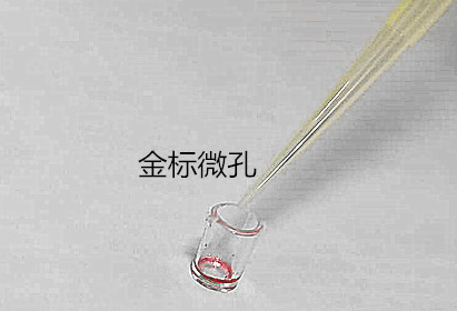 金标微孔.png